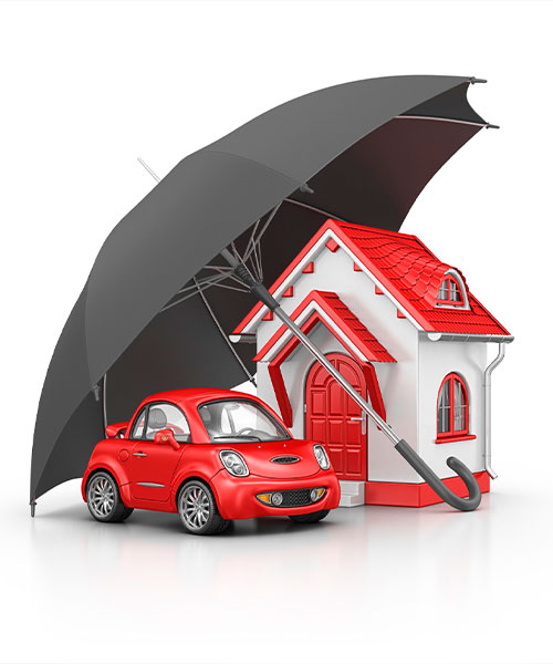 ASUM GAS - Neden Biz